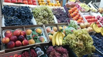 تقلبات أسعار الفاكهة اليوم: انخفاض العنب مقابل ارتفاع أسعار البرتقال والتين